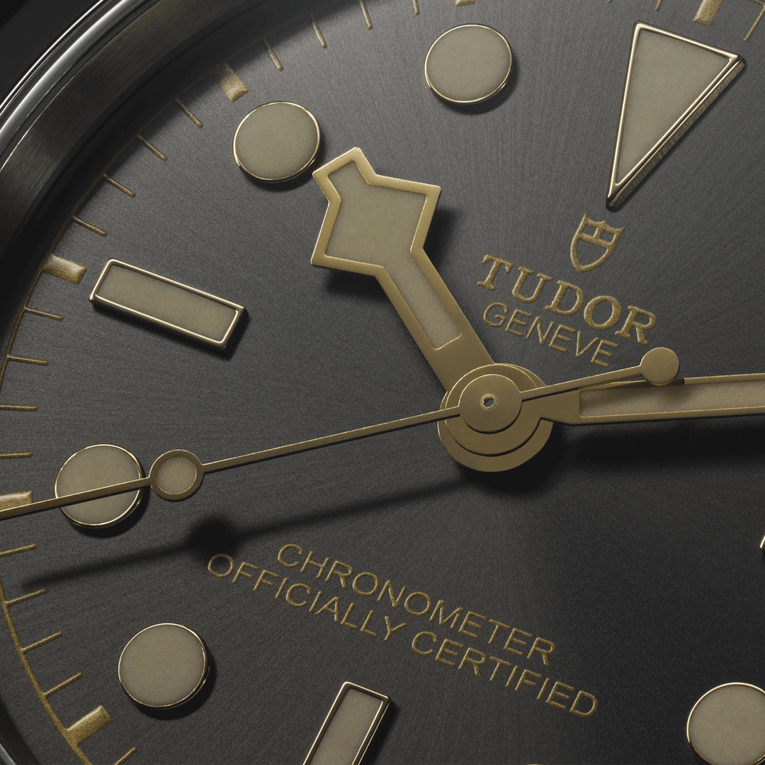 TUDOR Black Bay 36mm #M79640-0001