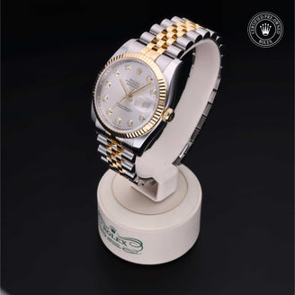 Datejust 36 M116233-0063