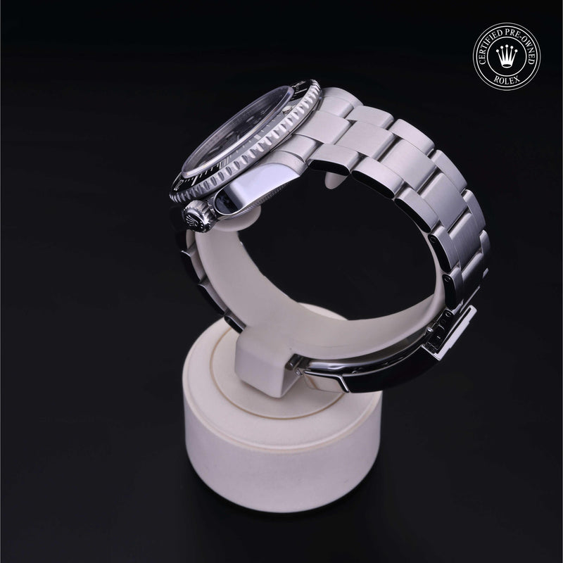 Sea-Dweller 4000 M116600-0003