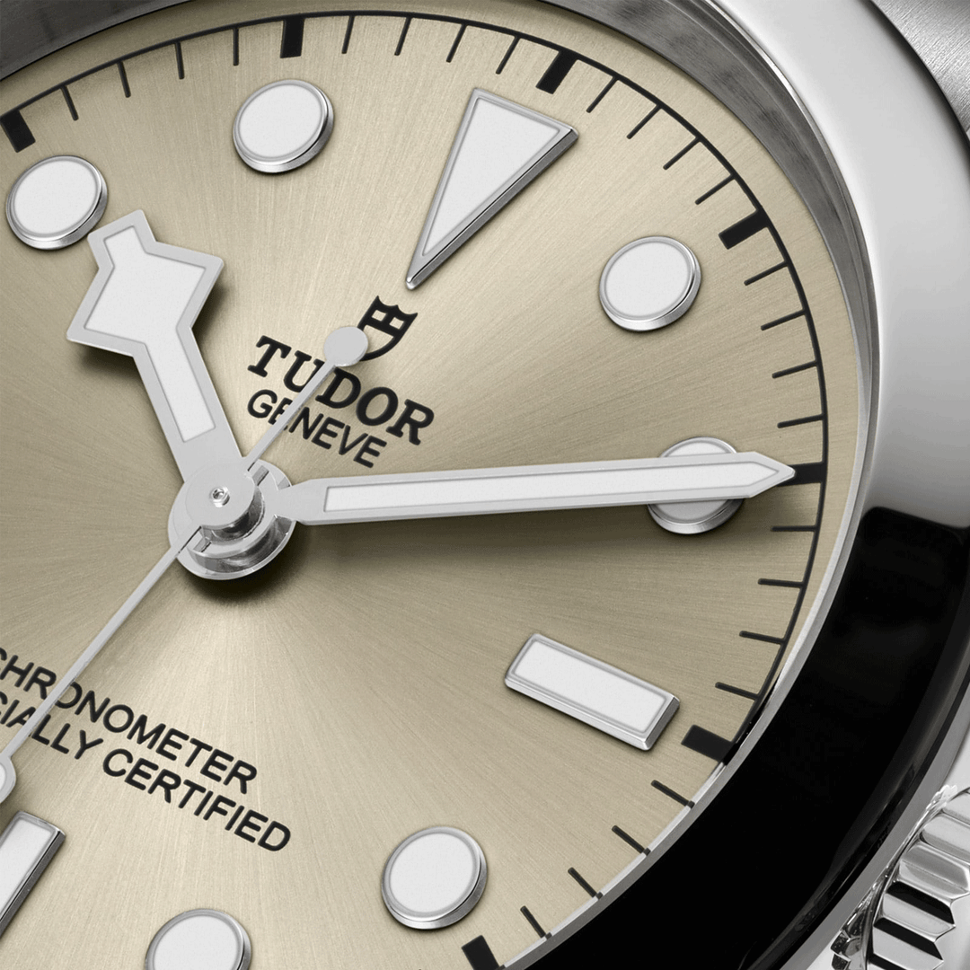 TUDOR Black Bay 36mm #M79640-0003