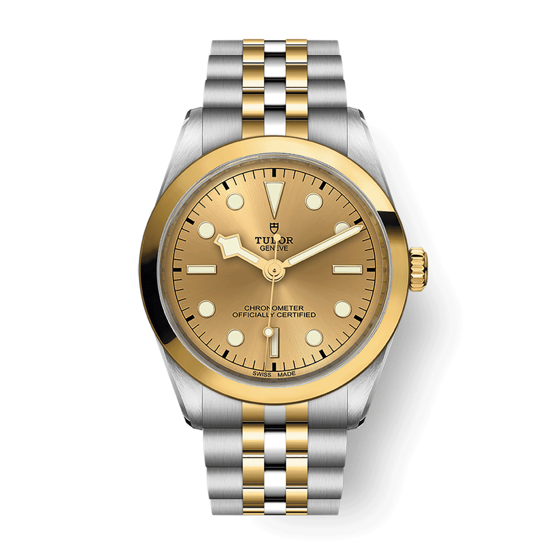 TUDOR Black Bay 36 S&G 36mm #M79643-0005