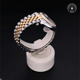 Datejust 36 M116233-0063