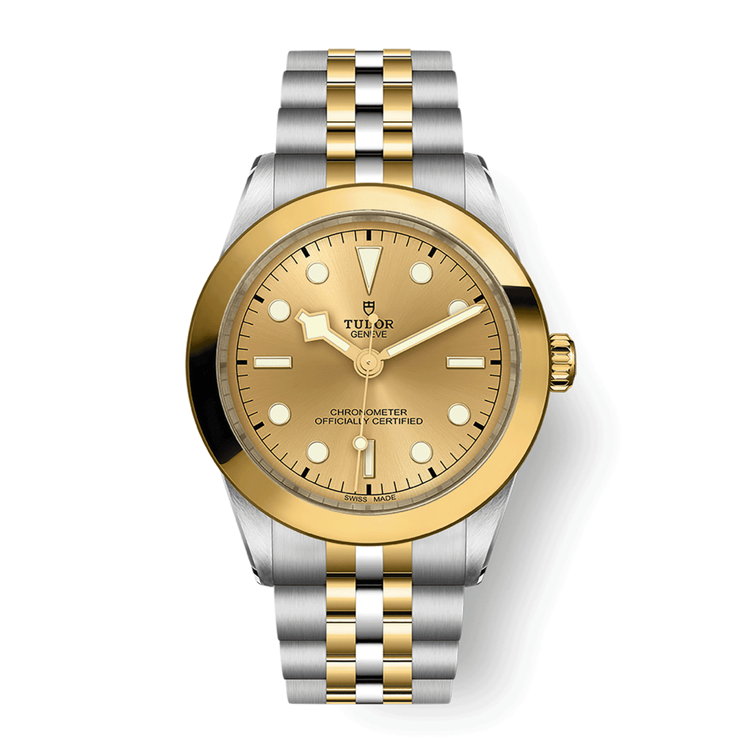 TUDOR Black Bay 39 S&G 39mm #M79663-0005