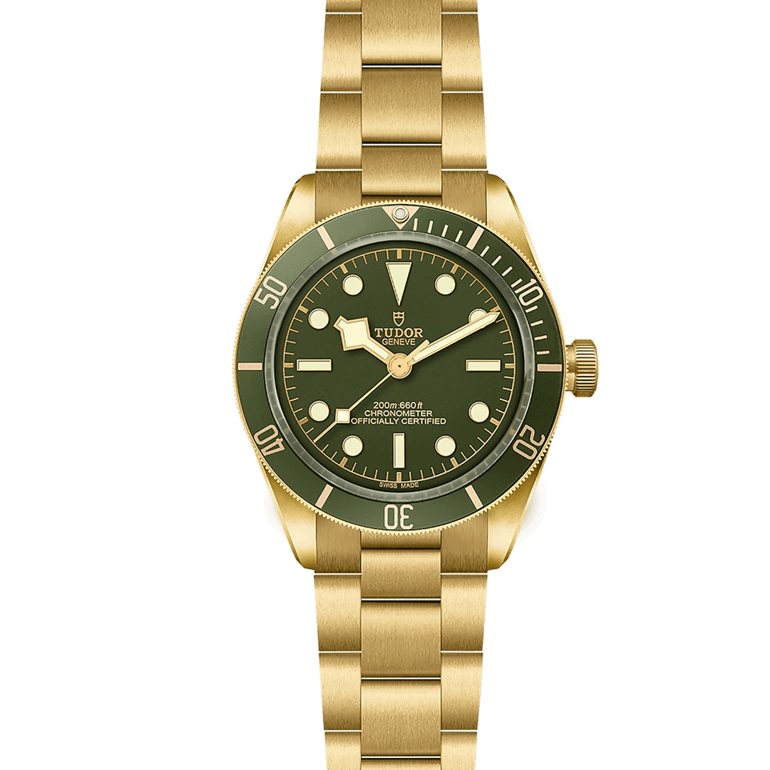 TUDOR Black Bay 58 18k 39mm #M79018V-0006