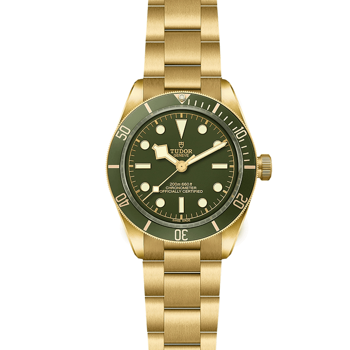 TUDOR Black Bay 58 18k 39mm #M79018V-0006