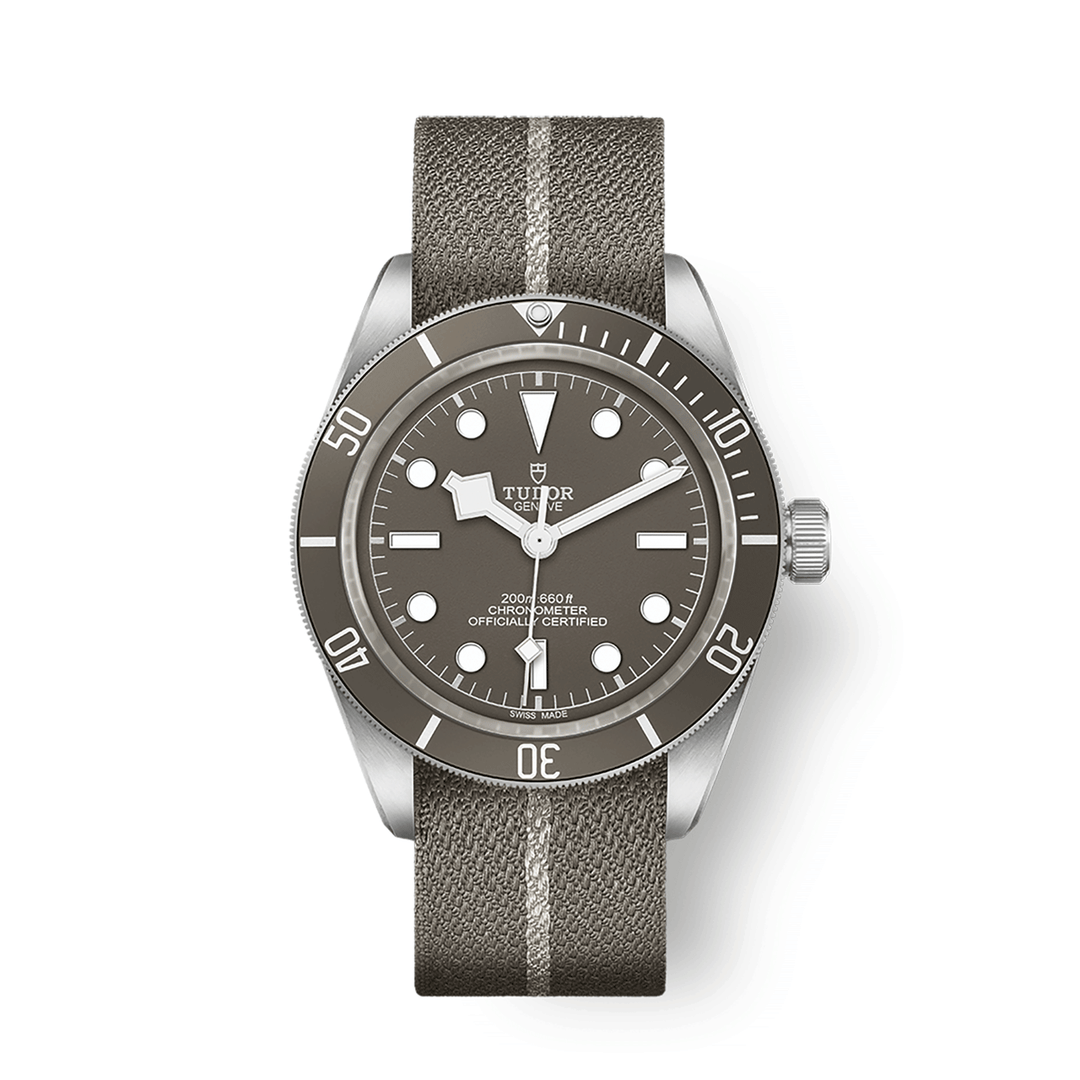 TUDOR Black Bay 58 39mm #M79010SG-0002