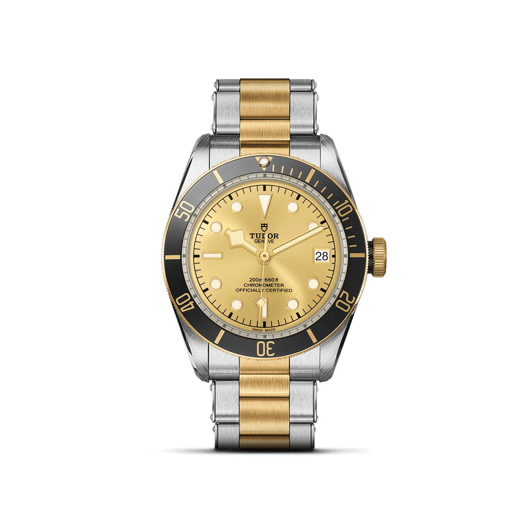 TUDOR Black Bay S&G 41mm #M79733N-0004