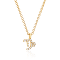 14k Yellow Gold Zodiac Capricorn Diamond Pendant with Chain