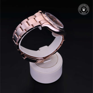 Cosmograph Daytona M116505-0001