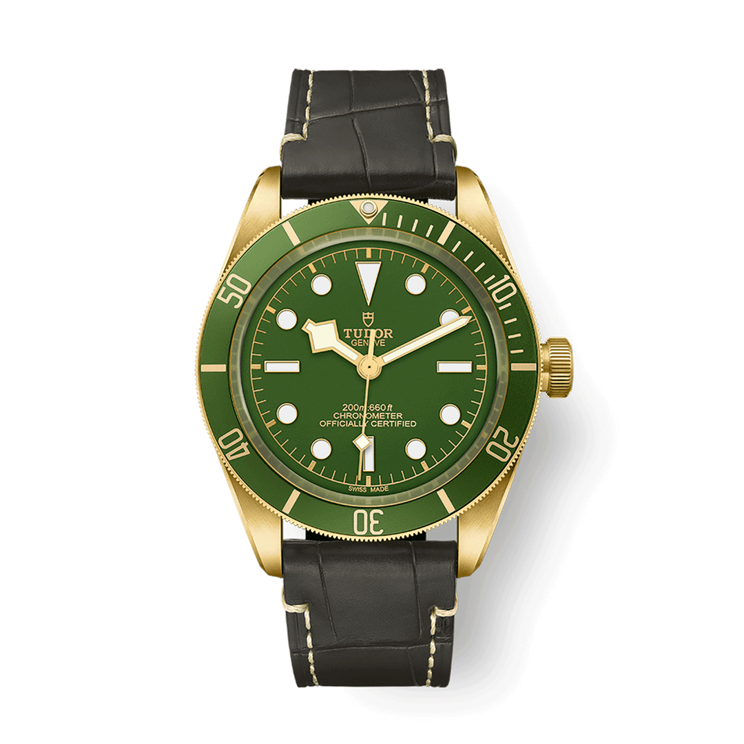 TUDOR Black Bay 58 39mm #M79018V-0001